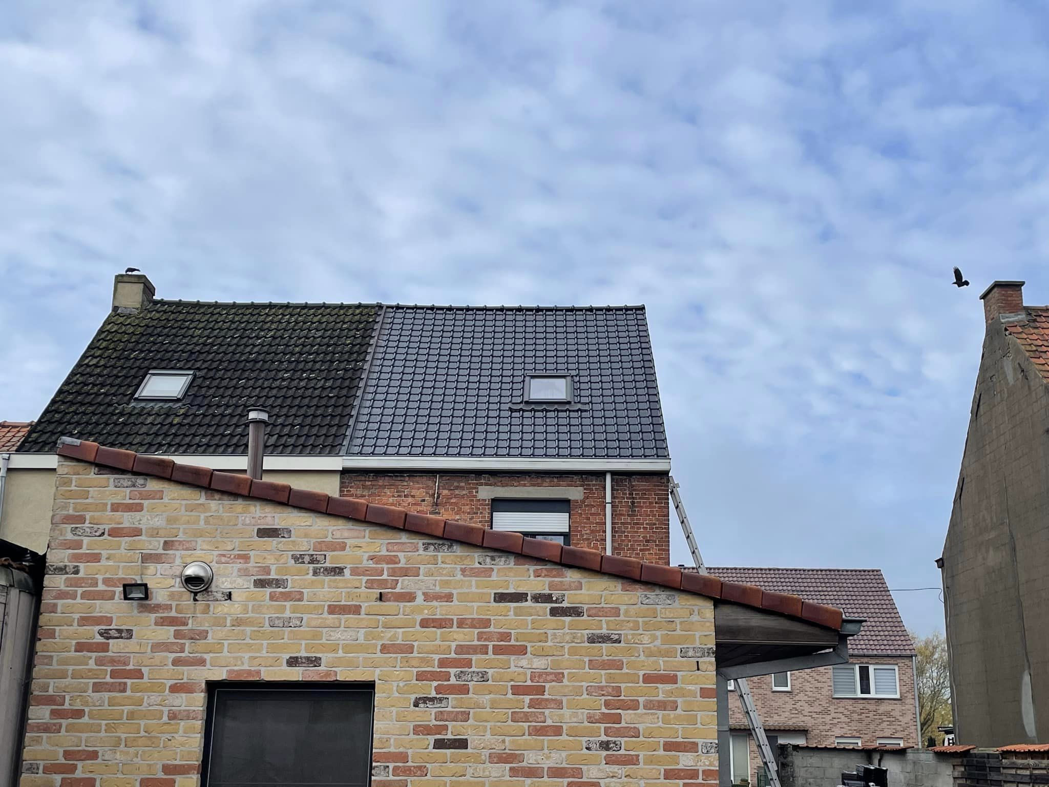 dakrenovatie kaprijke+plaatsen velux